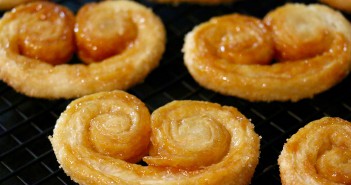 Palmiers maison facile