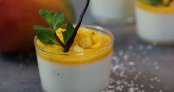 Panna cotta exotique